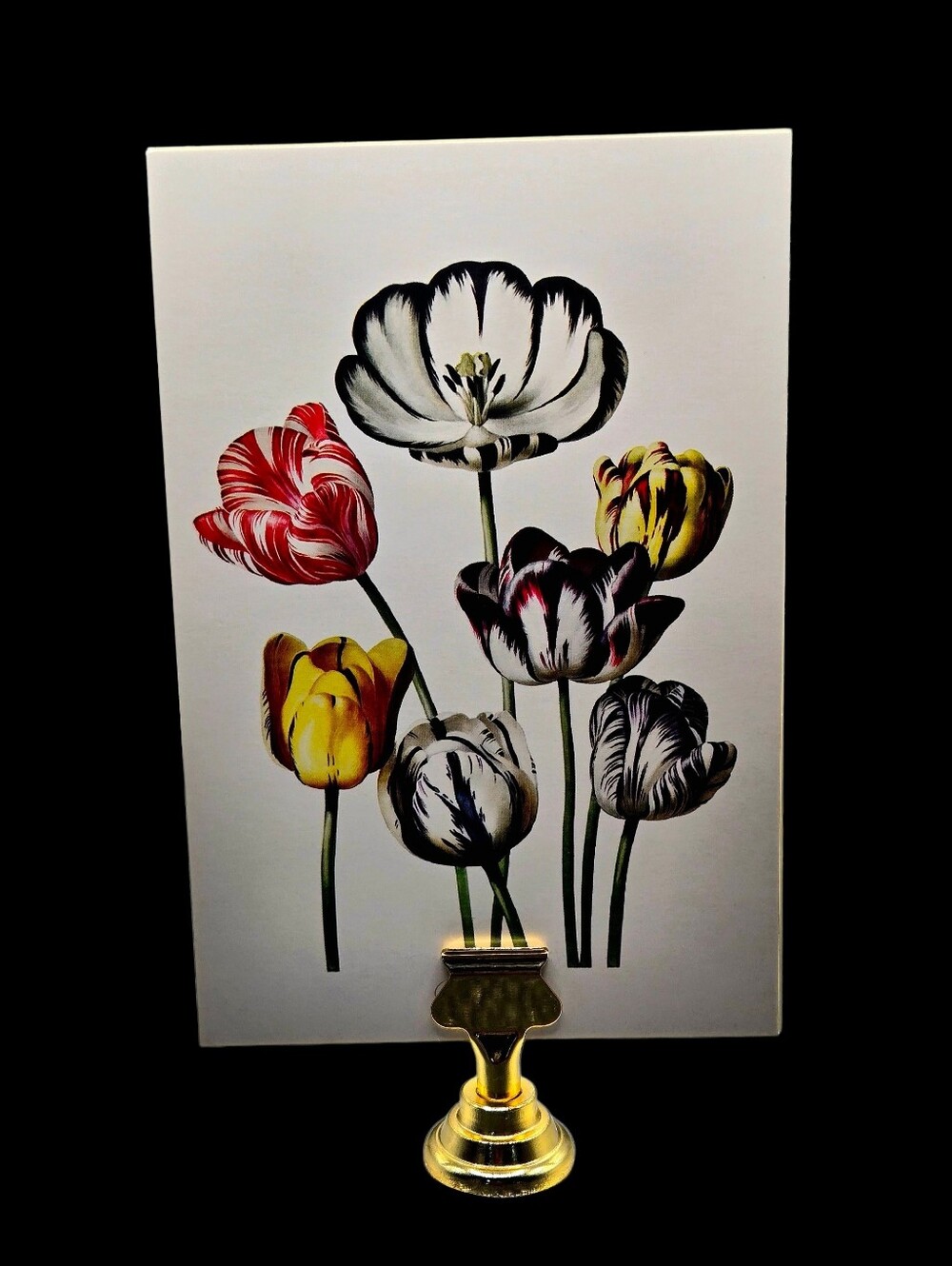 "5/$40" Reversible 4x6 Photo Cards W/Gold Stand,  Botanical Tulips/Butterflies